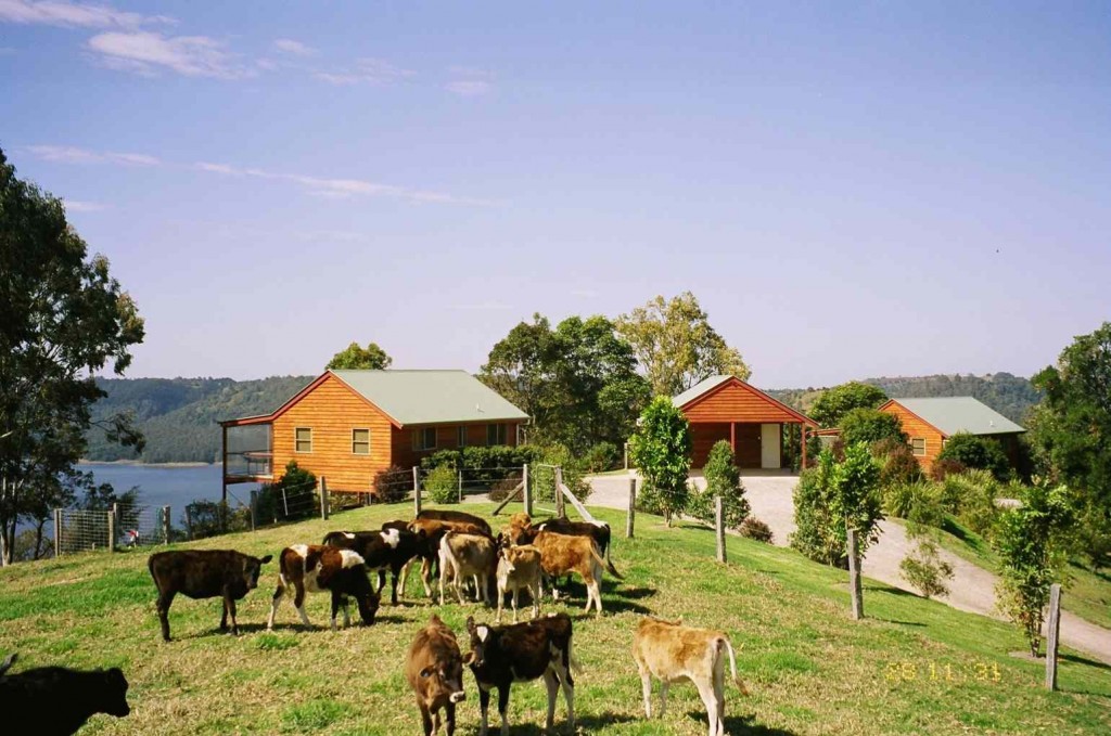 Farmstay- hình thức Homestay mới lạ